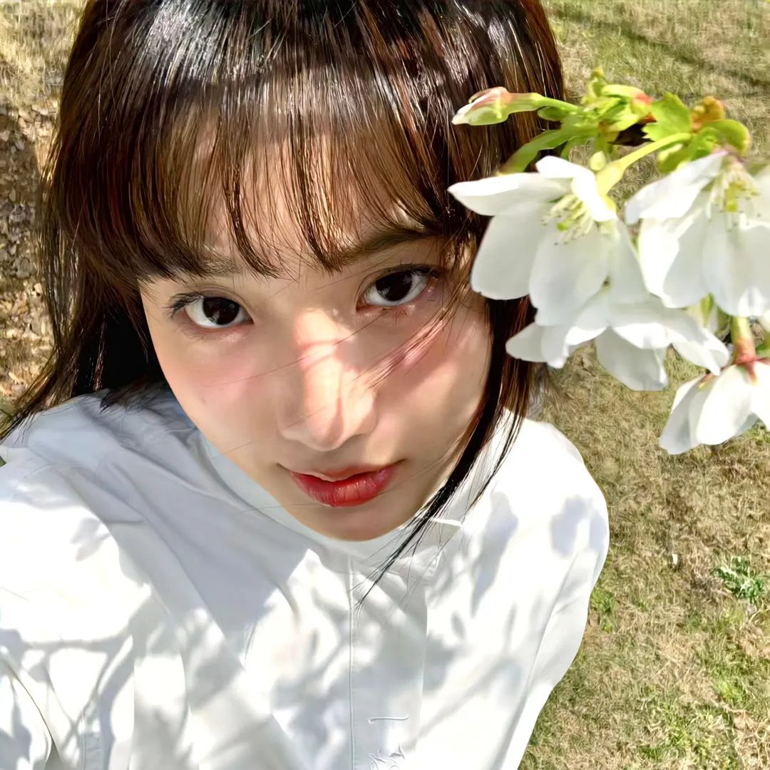 比翼文鸳
